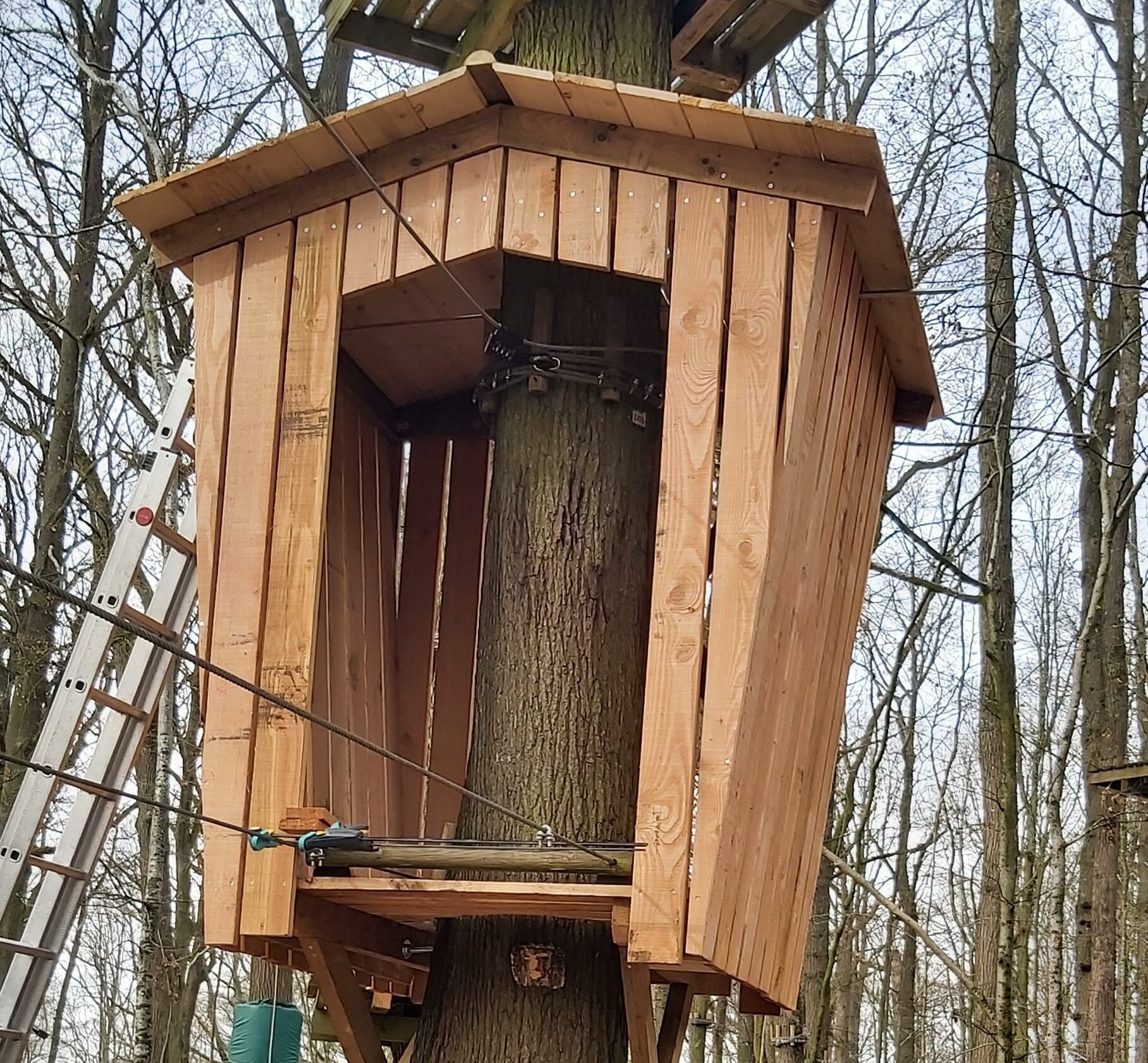 Nouvelle cabane dans les arbres pour la réouverture du parc Cariwood au printemps 2024