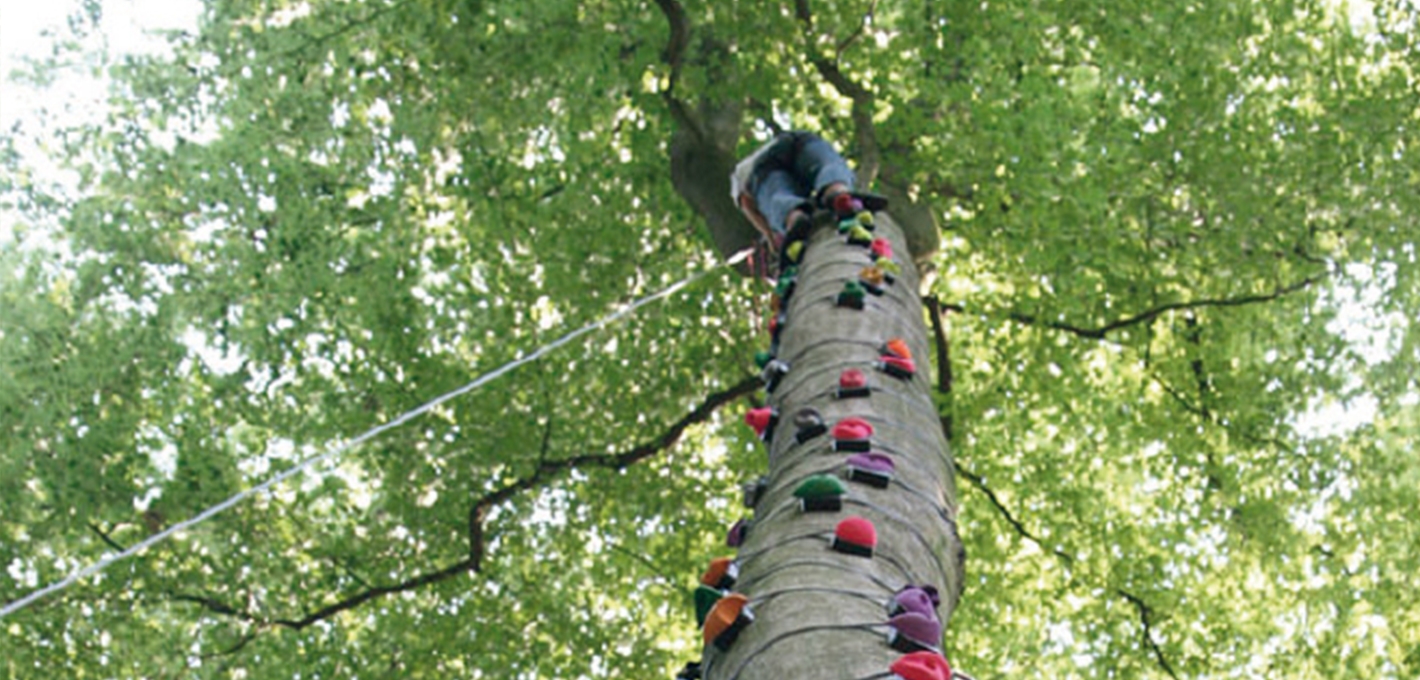 Escalad'arbre : escalade dans les arbres