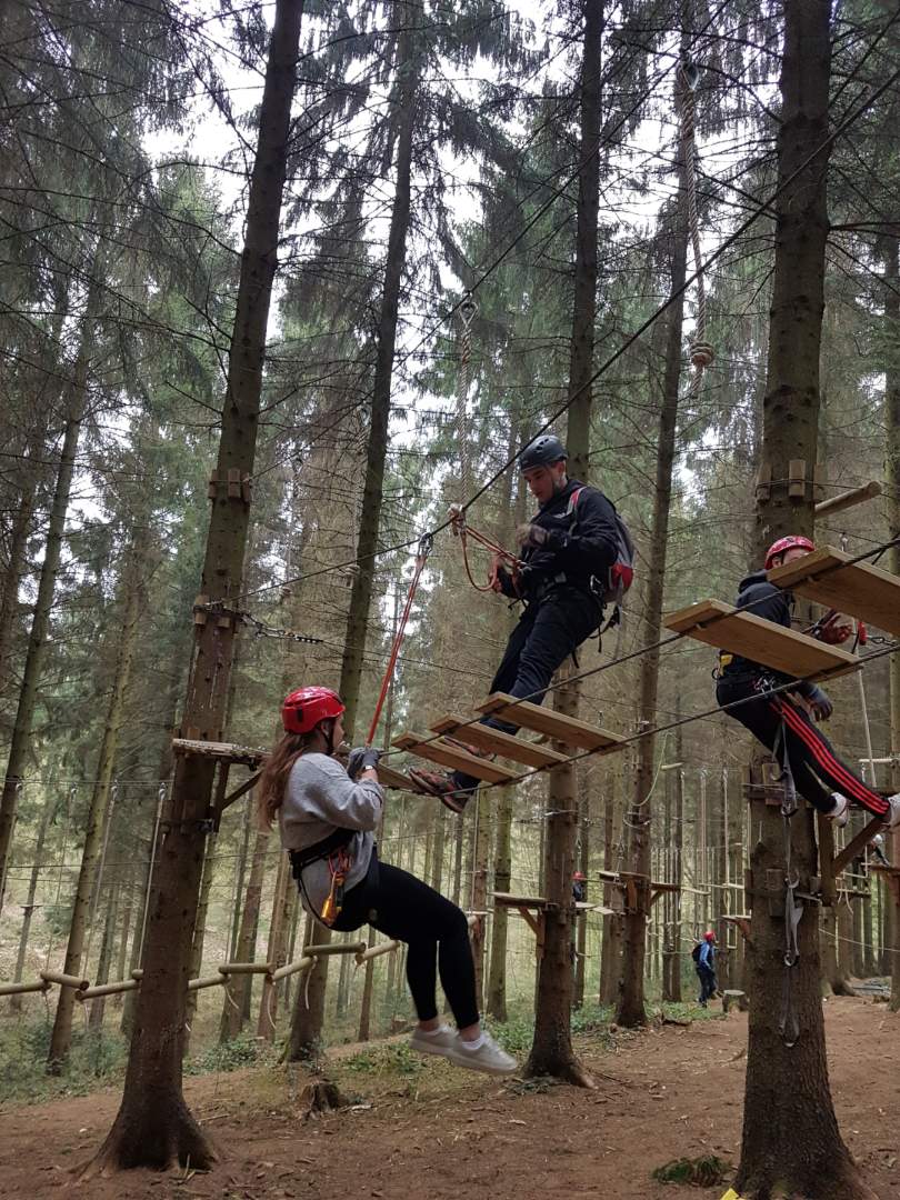 groupe d'amis qui sont dans les arbres