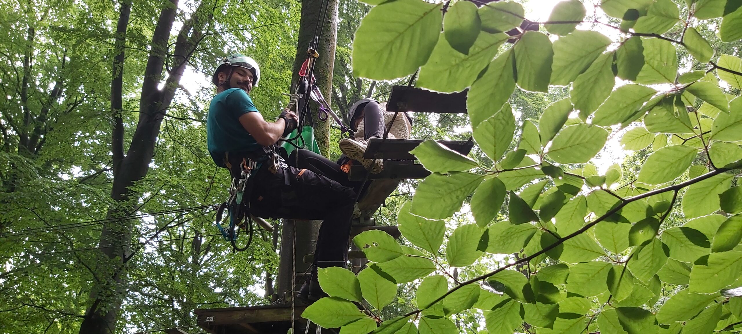 Une personne portant un équipement d'escalade et un casque est assise sur une plate-forme en bois au sommet d'un arbre feuillu, participant à une activité d'escalade ou de visite de la canopée. Formation des opérateurs de Parc Aventure au parc Cariwood - Opérateurs de Parc Aventure